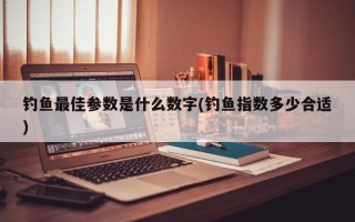 钓鱼最佳参数是什么数字(钓鱼指数多少合适)